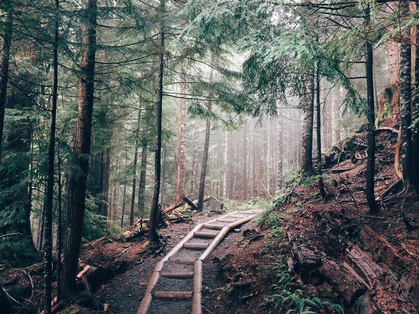 What Is Slow Living at Home? A Practical Definition